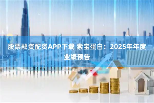 股票融资配资APP下载 索宝蛋白：2025年年度业绩预告